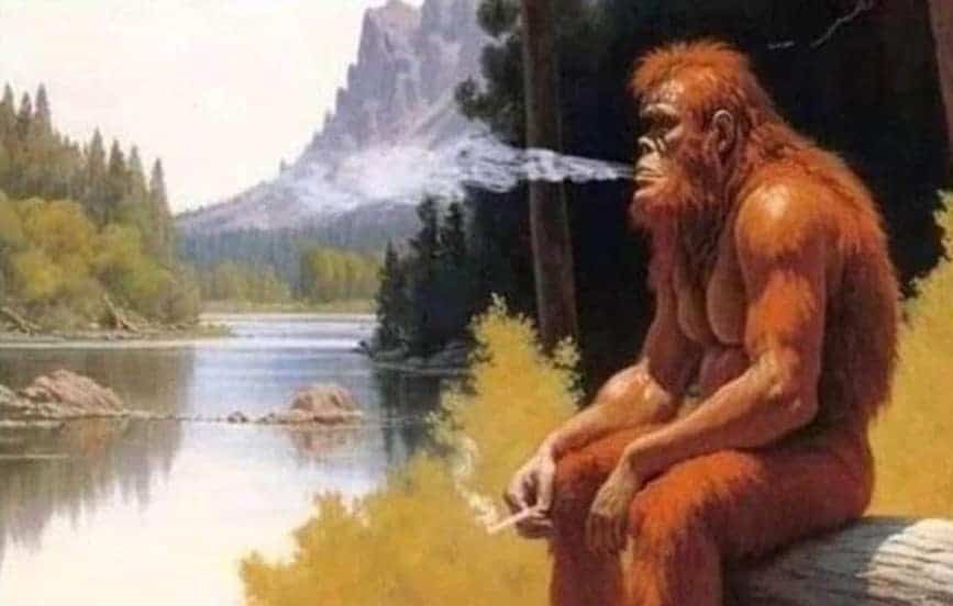 pics that go hard, funny pictures, intense visuals, shocking photography, bold image humor, edgy memes, rebellious comedic angles, subversive humor bits, outwardly radical jokes, radical images, visually extreme pics, mesmerizing snapshots, unorthodox photograph experiences, bizarre photos, uncanny camera captures, weird photography illusions, odd pictorial scenes