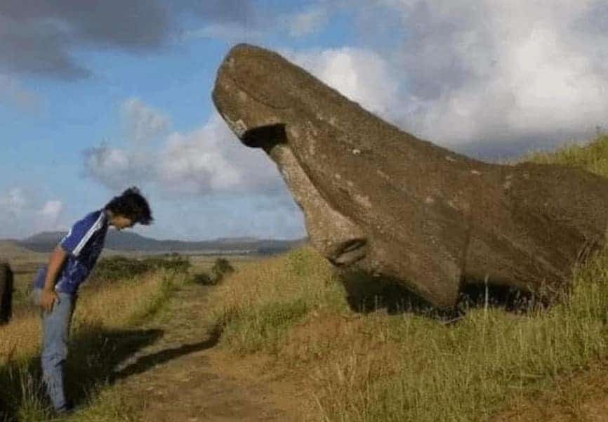 pics that go hard, funny pictures, intense visuals, shocking photography, bold image humor, edgy memes, rebellious comedic angles, subversive humor bits, outwardly radical jokes, radical images, visually extreme pics, mesmerizing snapshots, unorthodox photograph experiences, bizarre photos, uncanny camera captures, weird photography illusions, odd pictorial scenes