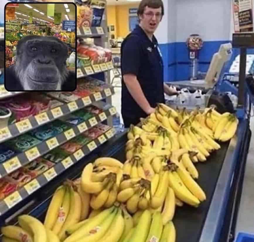 pics that go hard, funny pictures, intense visuals, shocking photography, bold image humor, edgy memes, rebellious comedic angles, subversive humor bits, outwardly radical jokes, radical images, visually extreme pics, mesmerizing snapshots, unorthodox photograph experiences, bizarre photos, uncanny camera captures, weird photography illusions, odd pictorial scenes