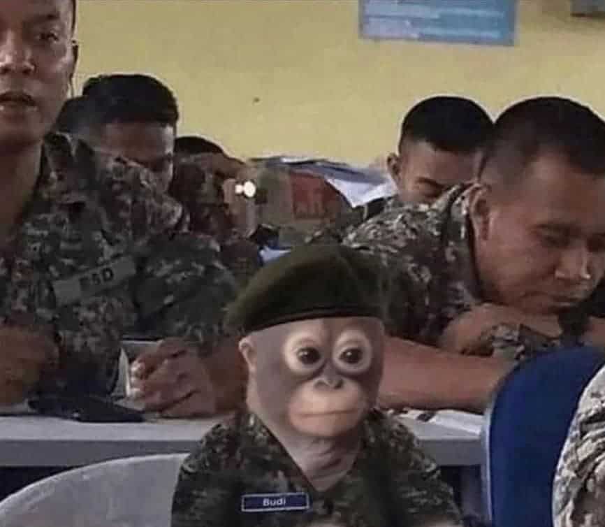 pics that go hard, funny pictures, intense visuals, shocking photography, bold image humor, edgy memes, rebellious comedic angles, subversive humor bits, outwardly radical jokes, radical images, visually extreme pics, mesmerizing snapshots, unorthodox photograph experiences, bizarre photos, uncanny camera captures, weird photography illusions, odd pictorial scenes