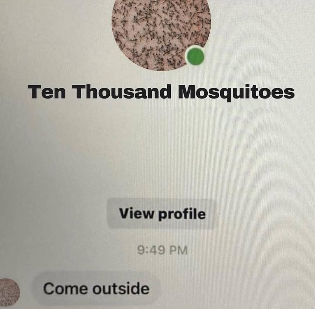 pics that go hard, funny pictures, intense visuals, shocking photography, bold image humor, edgy memes, rebellious comedic angles, subversive humor bits, outwardly radical jokes, radical images, visually extreme pics, mesmerizing snapshots, unorthodox photograph experiences, bizarre photos, uncanny camera captures, weird photography illusions, odd pictorial scenes