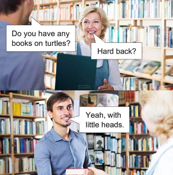 Do you have any books on turtles? Hard back? Yeah, with little heads.