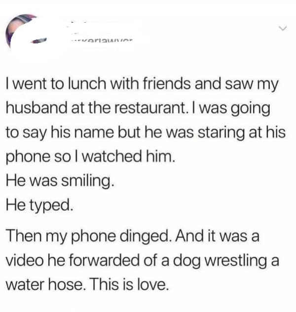 relationship goals, love memes, relationship memes, love targets, couple aspirations, romantic mileposts, affection comedic lines, heartfelt comedic illusions, couple humor, duo-based jokes, domestic banter laughs, romantic jokes, sweet sarcasm, partnership comedic bits, relationship memes