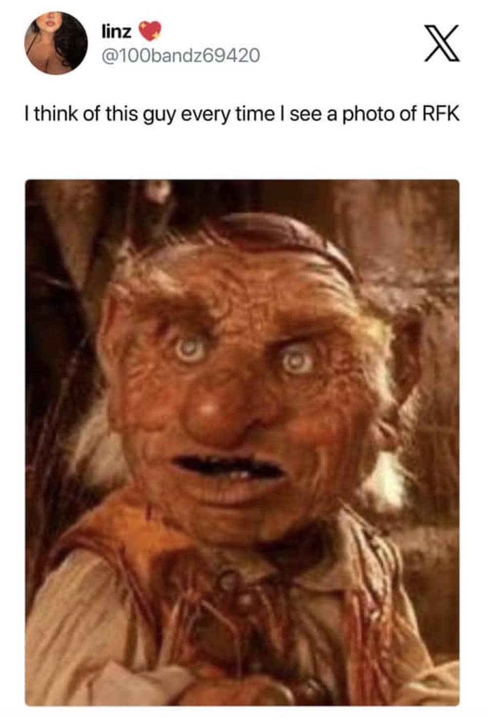 RFK jr meme, rfk jr memes, Robert F. Kennedy Jr meme, HHS memes, vaccine memes, political memes, conspiracy theory memes, public health memes, leadership memes, internet roast memes