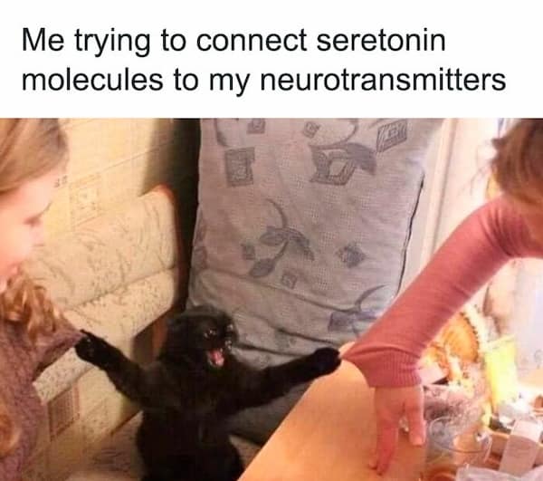 science memes, Scientific Humor, lab humor, research humor, Funny Science Facts, entertaining science facts, amusing science discoveries, STEM Jokes, science, technology, engineering, and mathematics jokes