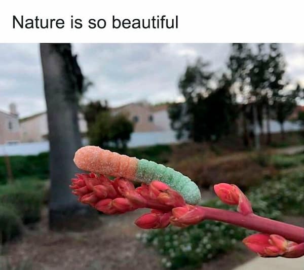 science memes, Scientific Humor, lab humor, research humor, Funny Science Facts, entertaining science facts, amusing science discoveries, STEM Jokes, science, technology, engineering, and mathematics jokes