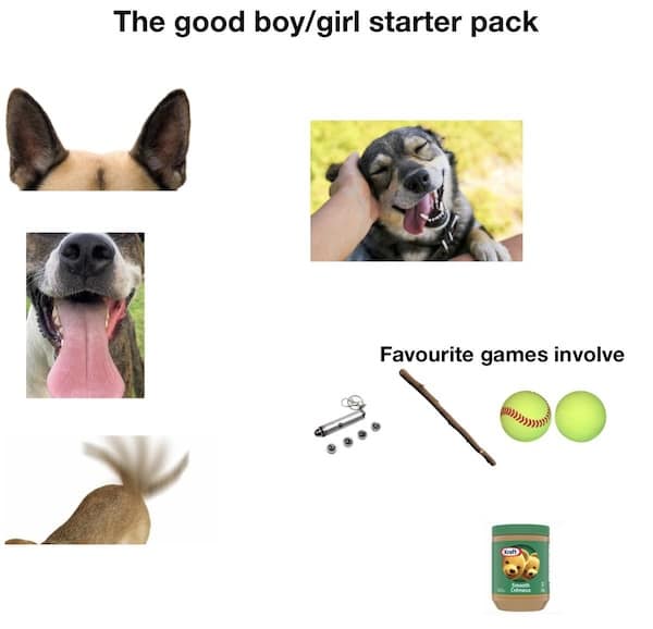 starter pack meme, starter packs, funny starter packs, start pack memes, starter pack humor