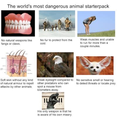 starter pack meme, starter packs, funny starter packs, start pack memes, starter pack humor