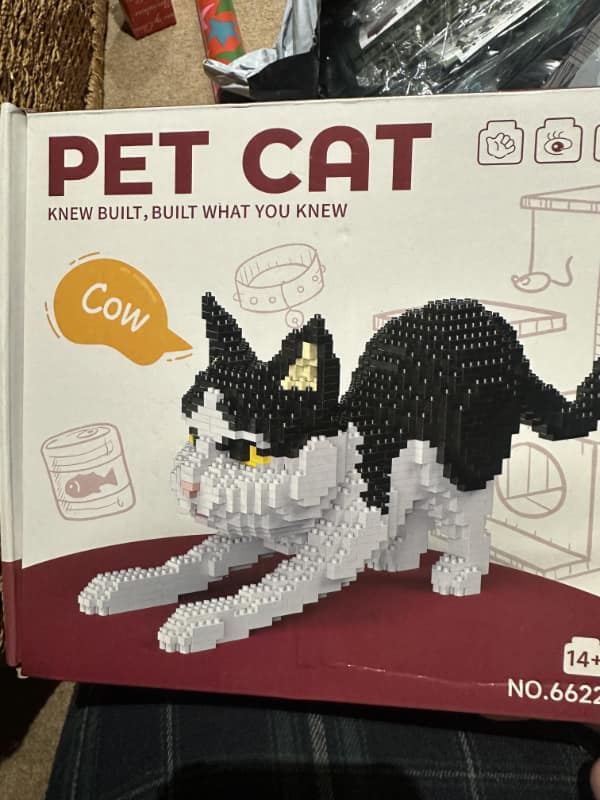 translation fails, bad translations, mistranslation mishaps, language gaffes, translation bloopers, funny translations, language mishaps