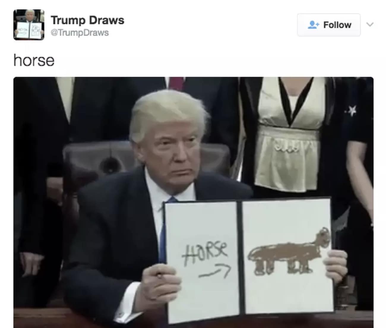 trump executive order memes, trump executive orders, Trump executive actions, Trump presidential orders, Trump policy changes, Trump White House decisions, political memes 2025, viral political jokes, government satire, trending political humor, January 6th pardons, Capitol riot pardons, Trump insurrection clemency, political scandal pardons