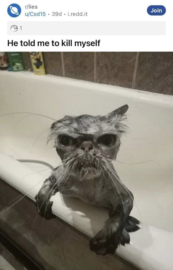 tumblr memes, funny tumblr posts, microblog comedic bits, fandom blog humor, reblog jokes, tumblr posts, platform-based comedic entries, random short text illusions, reblog-based banter, tumblr humor, comedic user chains, text-and-GIF funnies, short post sarcasm, microblog jokes, minimal text comedic bursts, fleeting post illusions, small-scale commentary humor