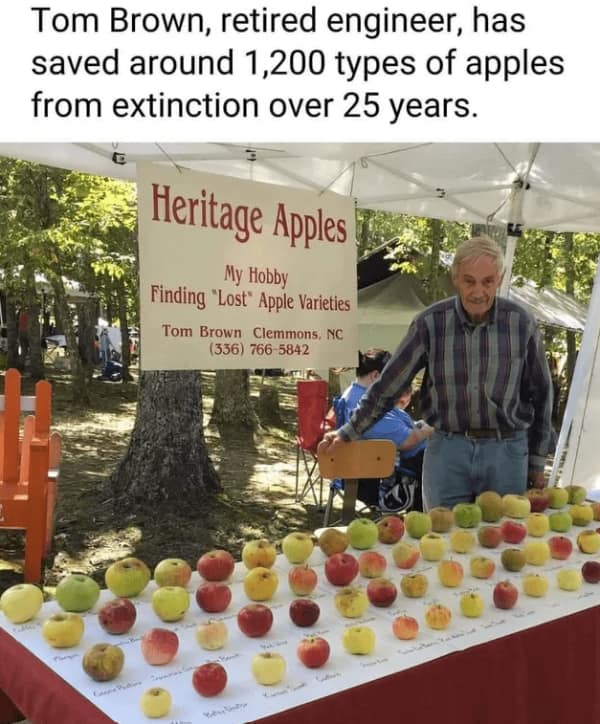 wholesome memes, uplifting memes, uplifting memes, warm fuzzy bits, gentle comedic pictures, cute memes, sweet comedic images, mild endearing visuals, tender comedic notes, uplifting humor, positive memes, reassuring comedic references, good vibe jokes