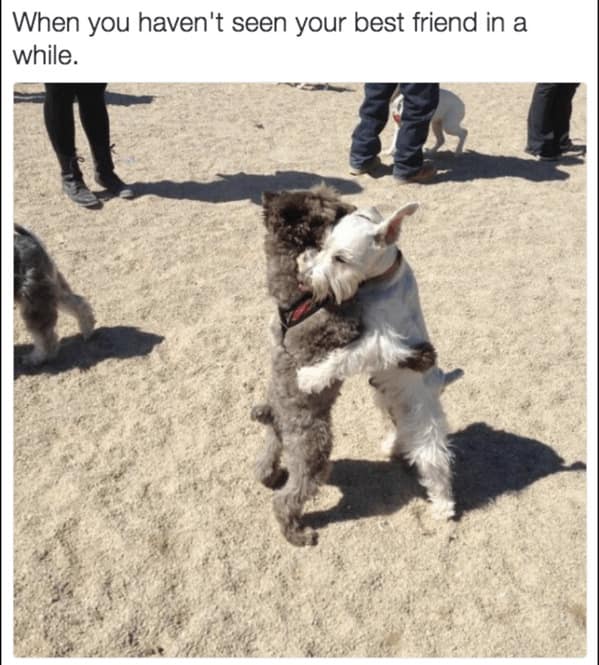 When you haven't seen your best friend in a while.