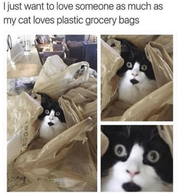 wholesome memes, uplifting memes, uplifting memes, warm fuzzy bits, gentle comedic pictures, cute memes, sweet comedic images, mild endearing visuals, tender comedic notes, uplifting humor, positive memes, reassuring comedic references, good vibe jokes