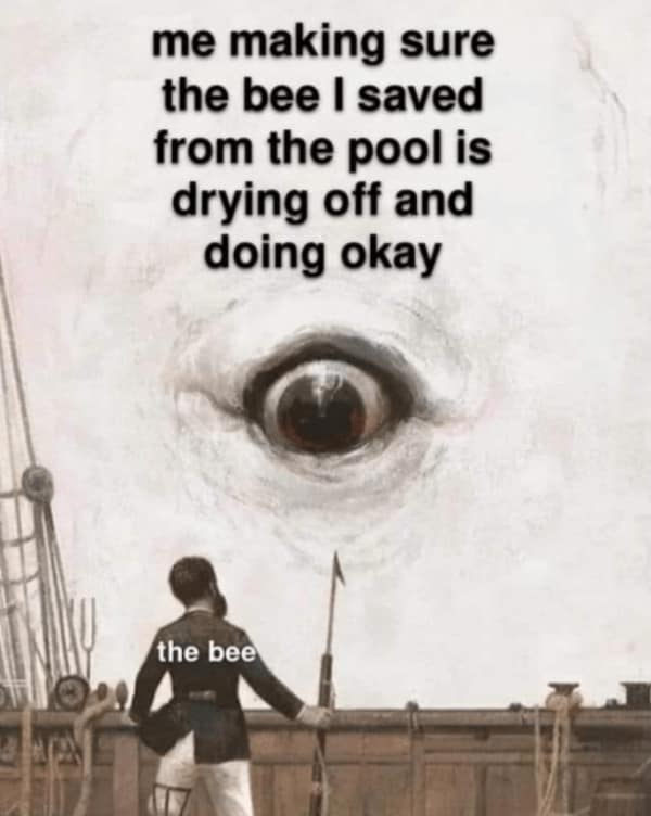 wholesome memes, uplifting memes, uplifting memes, warm fuzzy bits, gentle comedic pictures, cute memes, sweet comedic images, mild endearing visuals, tender comedic notes, uplifting humor, positive memes, reassuring comedic references, good vibe jokes