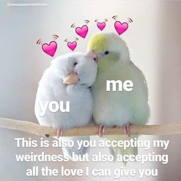 wholesome memes, heartwarming memes, uplifting memes, heartfelt comedic bites, warm fuzzy jokes, uplifting comedic memes, soft comedic visuals, gentle motivation humor, small joy references, feel good memes, mild positivity pictures, tiny daily encouragement, calm comedic warmth, positivity jokes, comedic beacons, motivational humor illusions, encouraging pun bits