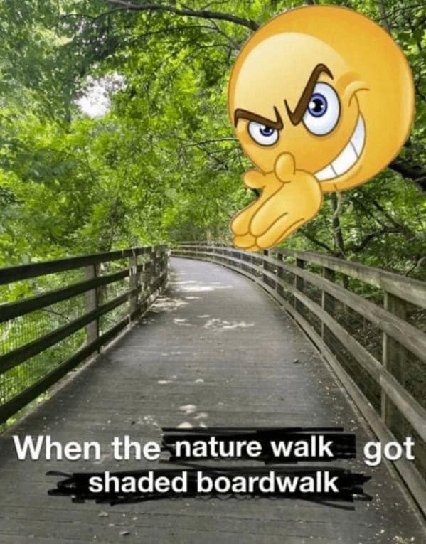 wholesome memes, heartwarming memes, feel-good memes, uplifting memes, Positive memes, encouraging memes, inspirational memes, Cute memes, adorable memes, sweet memes, Kindness memes, compassionate memes, caring memes