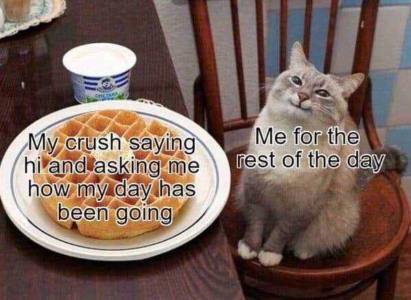 wholesome memes, heartwarming memes, uplifting memes, heartfelt comedic bites, warm fuzzy jokes, uplifting comedic memes, soft comedic visuals, gentle motivation humor, small joy references, feel good memes, mild positivity pictures, tiny daily encouragement, calm comedic warmth, positivity jokes, comedic beacons, motivational humor illusions, encouraging pun bits