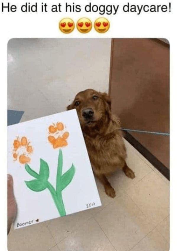 wholesome memes, heartwarming memes, feel-good memes, uplifting memes, Positive memes, encouraging memes, inspirational memes, Cute memes, adorable memes, sweet memes, Kindness memes, compassionate memes, caring memes