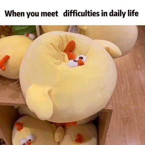 wholesome memes, heartwarming memes, uplifting memes, heartfelt comedic bites, warm fuzzy jokes, uplifting comedic memes, soft comedic visuals, gentle motivation humor, small joy references, feel good memes, mild positivity pictures, tiny daily encouragement, calm comedic warmth, positivity jokes, comedic beacons, motivational humor illusions, encouraging pun bits