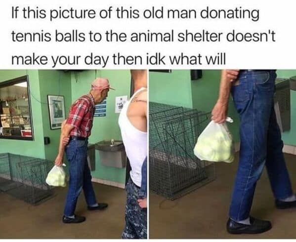 wholesome memes, heartwarming memes, uplifting memes, heartfelt comedic bites, warm fuzzy jokes, uplifting comedic memes, soft comedic visuals, gentle motivation humor, small joy references, feel good memes, mild positivity pictures, tiny daily encouragement, calm comedic warmth, positivity jokes, comedic beacons, motivational humor illusions, encouraging pun bits