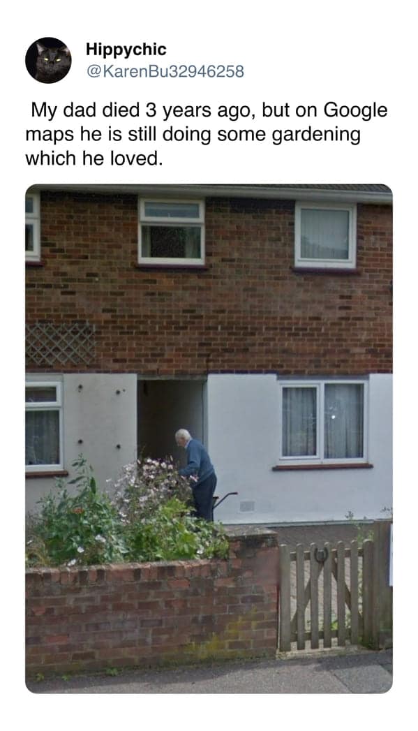 wholesome memes, heartwarming memes, feel-good memes, heartwarming humor, uplifting jokes, kindness memes, positivity memes, good vibes humor, happy moments, adorable jokes