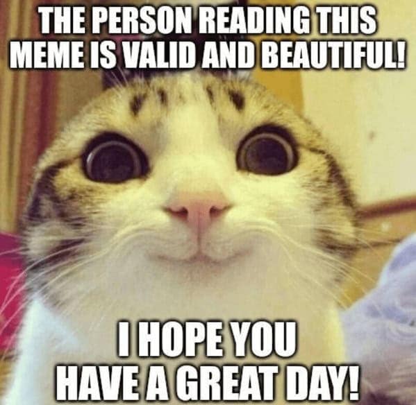 wholesome memes, heartwarming memes, feel-good memes, uplifting memes, Positive memes, encouraging memes, inspirational memes, Cute memes, adorable memes, sweet memes, Kindness memes, compassionate memes, caring memes