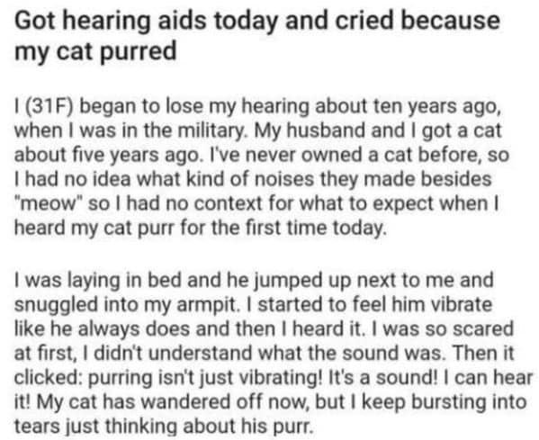 wholesome memes, heartwarming memes, feel-good memes, uplifting memes, Positive memes, encouraging memes, inspirational memes, Cute memes, adorable memes, sweet memes, Kindness memes, compassionate memes, caring memes