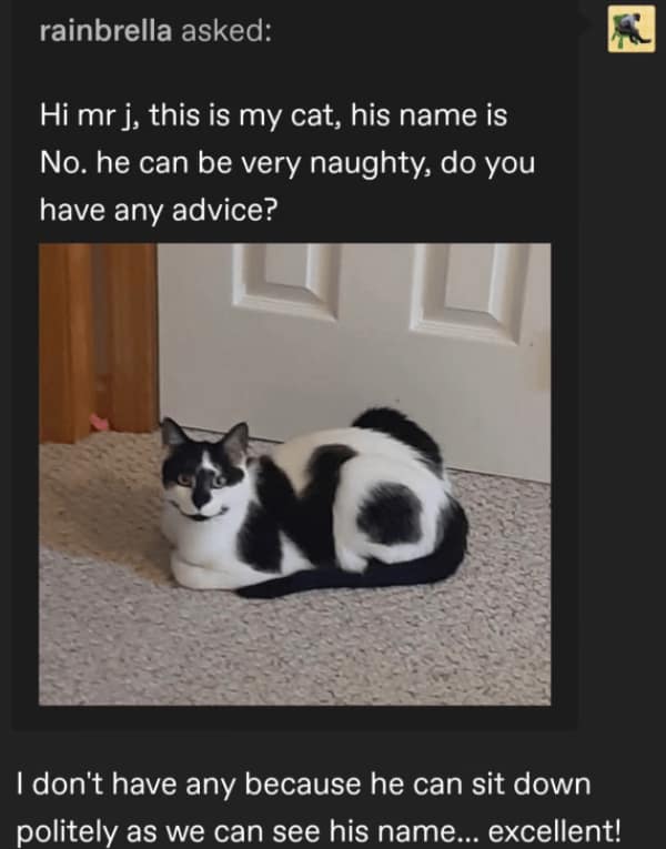 wholesome memes, uplifting memes, uplifting memes, warm fuzzy bits, gentle comedic pictures, cute memes, sweet comedic images, mild endearing visuals, tender comedic notes, uplifting humor, positive memes, reassuring comedic references, good vibe jokes