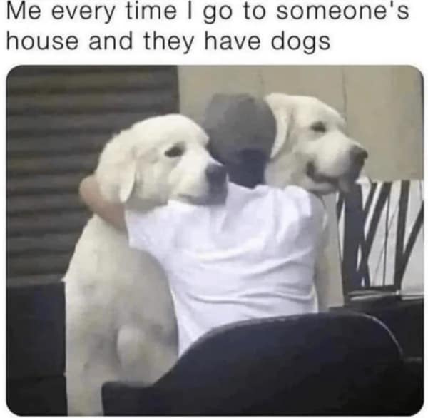 wholesome memes, uplifting memes, uplifting memes, warm fuzzy bits, gentle comedic pictures, cute memes, sweet comedic images, mild endearing visuals, tender comedic notes, uplifting humor, positive memes, reassuring comedic references, good vibe jokes
