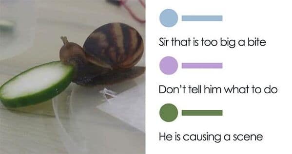 wholesome memes, heartwarming memes, uplifting memes, heartfelt comedic bites, warm fuzzy jokes, uplifting comedic memes, soft comedic visuals, gentle motivation humor, small joy references, feel good memes, mild positivity pictures, tiny daily encouragement, calm comedic warmth, positivity jokes, comedic beacons, motivational humor illusions, encouraging pun bits