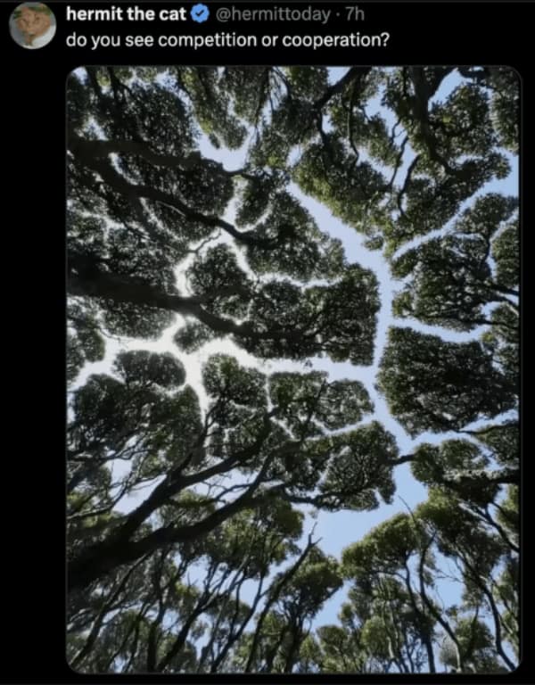 wholesome memes, uplifting memes, uplifting memes, warm fuzzy bits, gentle comedic pictures, cute memes, sweet comedic images, mild endearing visuals, tender comedic notes, uplifting humor, positive memes, reassuring comedic references, good vibe jokes