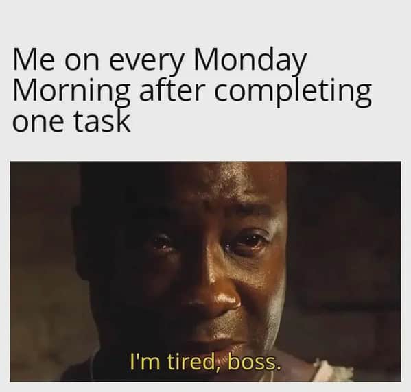 work memes, employment memes, office memes, employment humor, workplace jokes, job memes, career jokes, professional laugh bits, job-life humor, coworker memes, colleague jokes, desk partner humor, shared workspace laughs, office humor, cubicle funnies, corporate comedic relief, meeting sarcasm