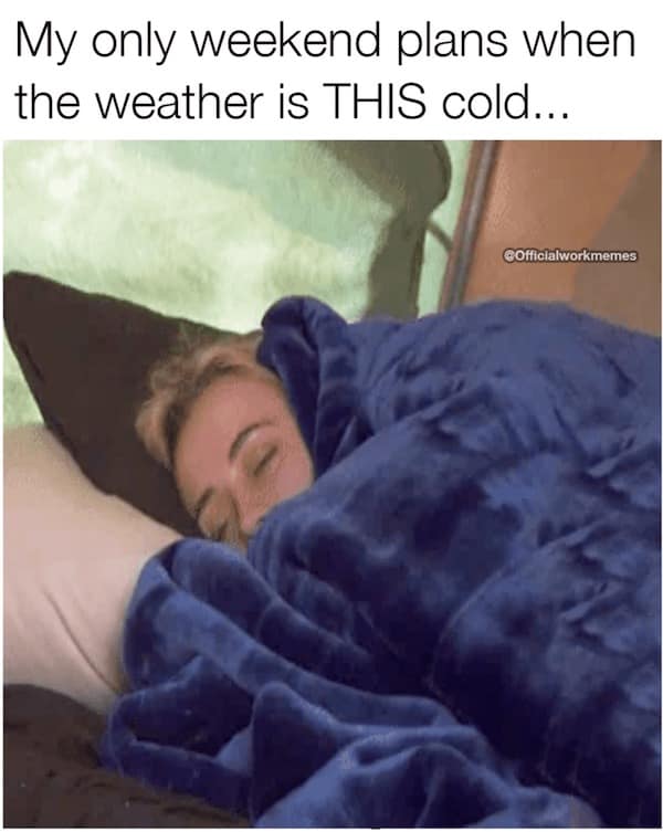 work memes, office comedic snapshots, job-related humor, 9-to-5 jokes, office memes, employment memes, office humor, workplace comedic lines, cubicle quips, job jokes, career comedic digs, employment gags, work stress, daily grind tension, professional meltdown references