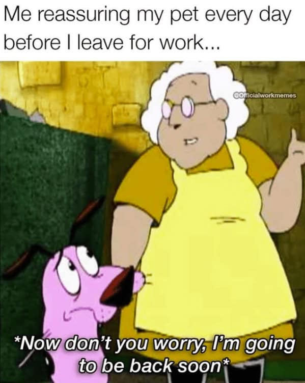 work memes, employment memes, office memes, employment humor, workplace jokes, job memes, career jokes, professional laugh bits, job-life humor, coworker memes, colleague jokes, desk partner humor, shared workspace laughs, office humor, cubicle funnies, corporate comedic relief, meeting sarcasm