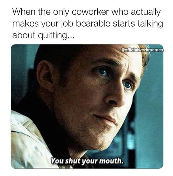 work memes, employment memes, office memes, employment humor, workplace jokes, job memes, career jokes, professional laugh bits, job-life humor, coworker memes, colleague jokes, desk partner humor, shared workspace laughs, office humor, cubicle funnies, corporate comedic relief, meeting sarcasm