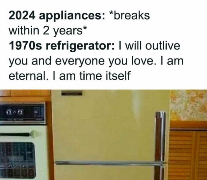 2024 appliances: *breaks within 2 years* 1970s refrigerator: | will outlive you and everyone you love. I am eternal. I am time itself