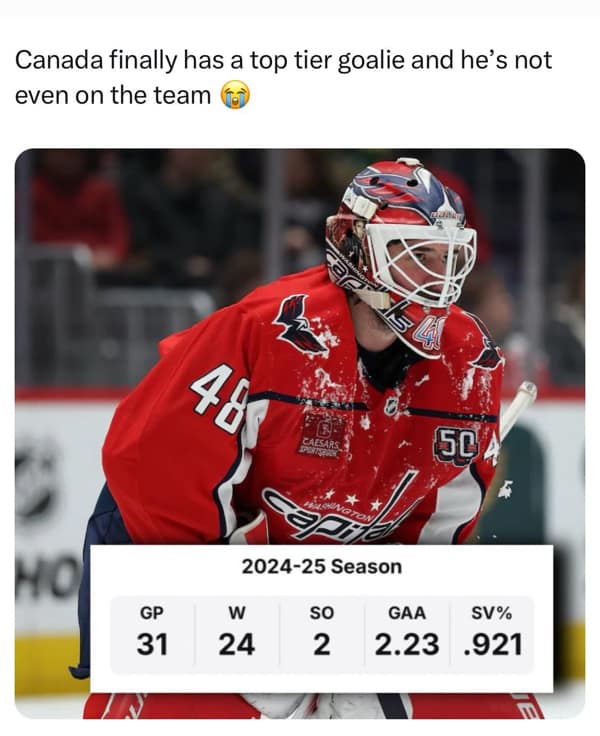 NHL memes, league parodies, puck jokes, ice hockey jokes, rink humor, frozen sports wit, net minding laughs, Stanley Cup humor, trophy banter, final round jokes, championship gags, fan comedic relief, sticks and skates puns, puck-chasing laughs