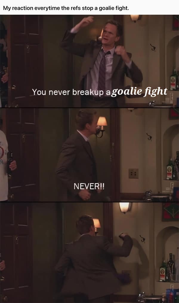 NHL memes, league parodies, puck jokes, ice hockey jokes, rink humor, frozen sports wit, net minding laughs, Stanley Cup humor, trophy banter, final round jokes, championship gags, fan comedic relief, sticks and skates puns, puck-chasing laughs