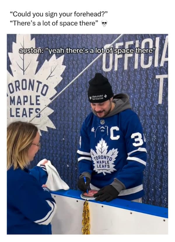 NHL memes, league parodies, puck jokes, ice hockey jokes, rink humor, frozen sports wit, net minding laughs, Stanley Cup humor, trophy banter, final round jokes, championship gags, fan comedic relief, sticks and skates puns, puck-chasing laughs