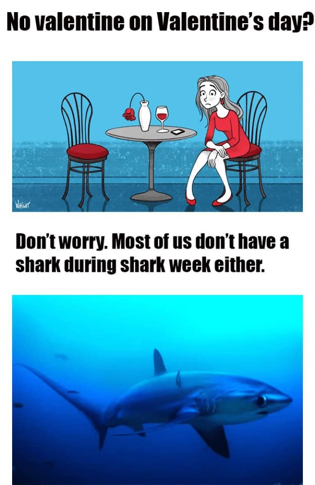 Valentines memes, single life humor, love day jokes, anti-Valentine’s memes, single girl jokes, single memes, romance humor, couple jokes, love life memes, Valentine's day memes, Valentine's memes