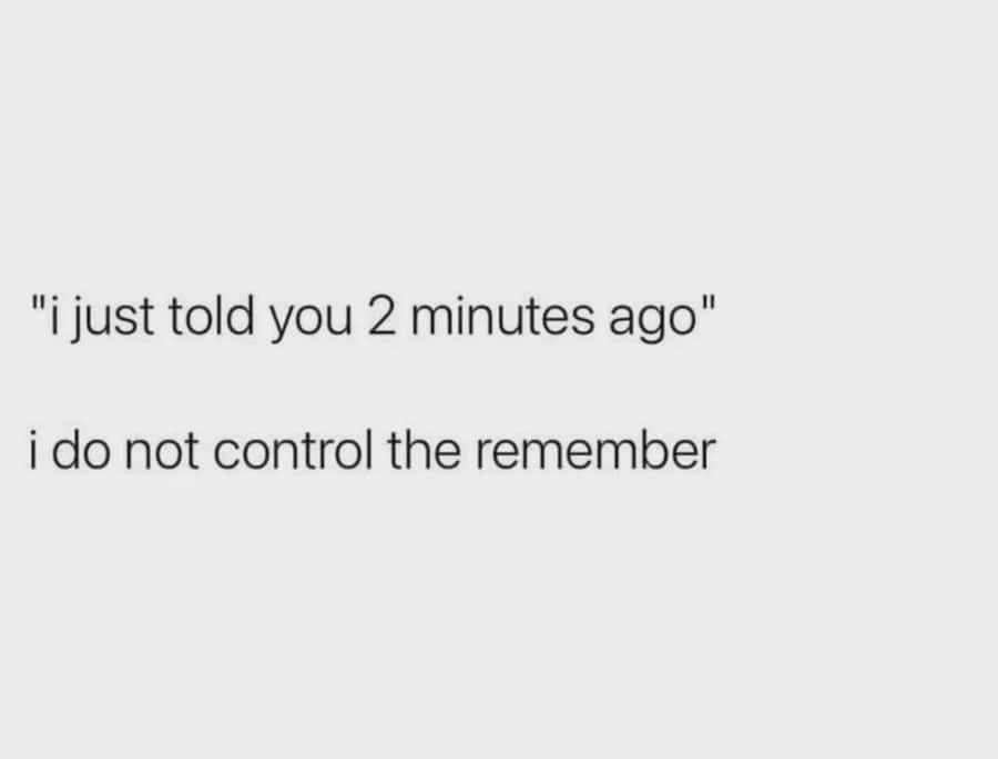 "i just told you 2 minutes ago" i do not control the remember