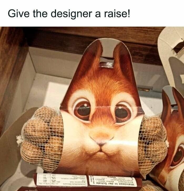 animal memes, pet memes, wildlife memes, creature memes, funny pets, animal humor, pet antics, hilarious animals, creature humor, pet chaos, funny animal photos