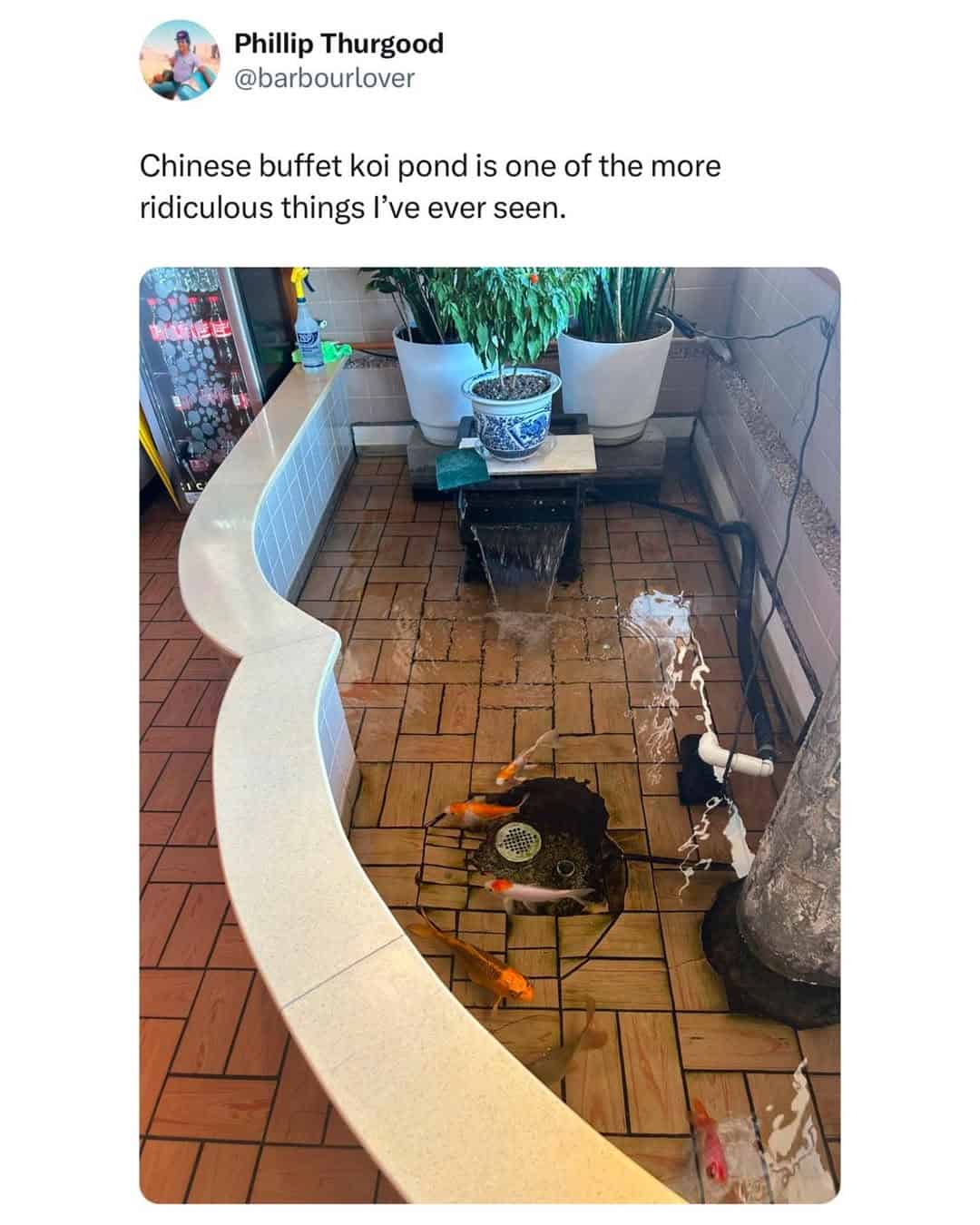 UK jokes, English funnies, Brit humor, UK humor, London wit, island sarcasm, monarchy quips, English jokes, royal banter, tea-laced mockery, stiff upper-lip laughs, Brit banter, comedic English, subtle digs, drizzle gags