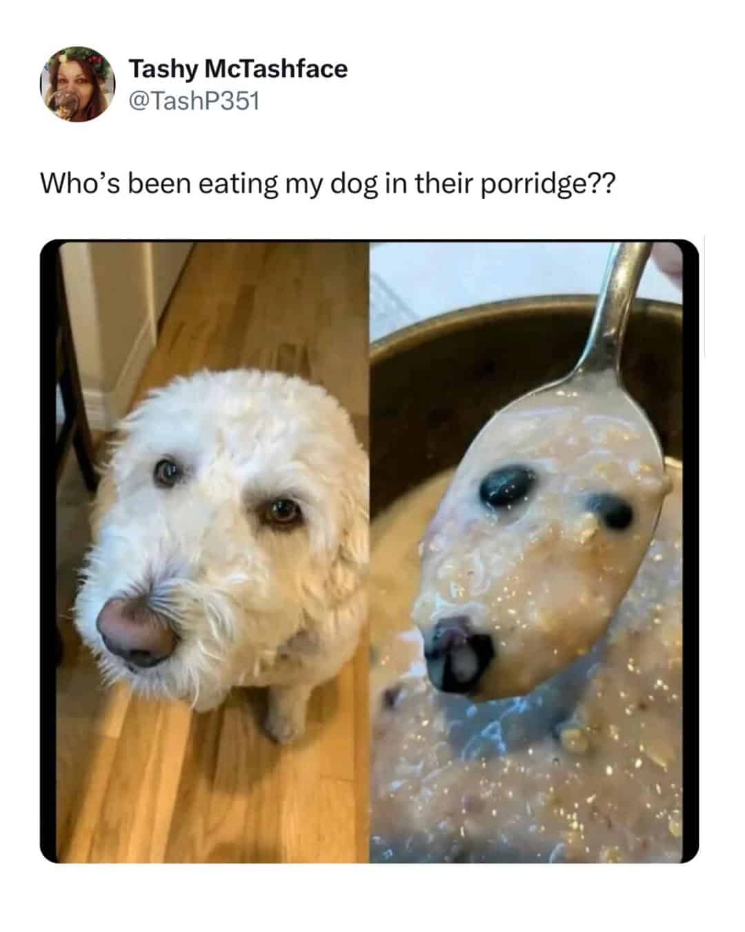 UK jokes, English funnies, Brit humor, UK humor, London wit, island sarcasm, monarchy quips, English jokes, royal banter, tea-laced mockery, stiff upper-lip laughs, Brit banter, comedic English, subtle digs, drizzle gags