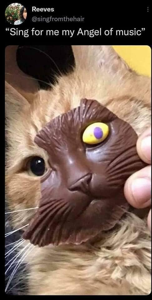 broadway memes, musical theater memes, musical theatre memes, theatre humor, drama memes, show tune humor, tech week horrors, overpriced tickets, performance jokes, high note struggles