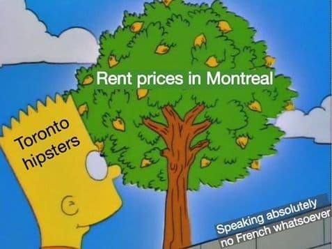 Canadian humor, Great White North memes, maple syrup jokes, hockey memes, Canadian weather, poutine humor, polite apologies, winter jokes, Canadian pride