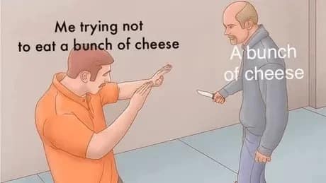 cheese memes, cheese memes, cheese humor, dairy jokes, cheese obsession, funny cheese memes, cheddar vs. gouda, lactose intolerance, cheese-based diets, comfort food memes, cheese lovers