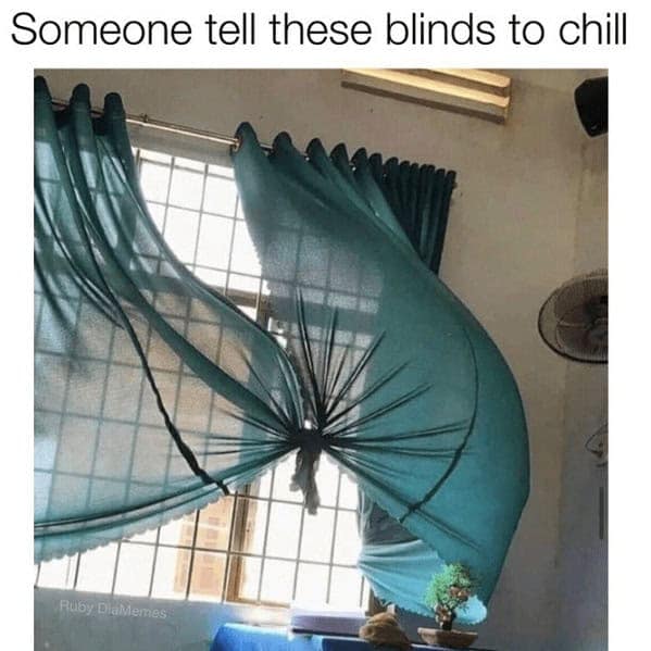 Someone tell these blinds to chill