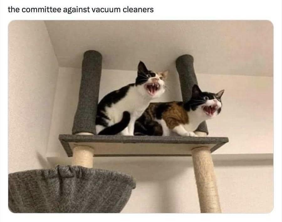 classic memes, vintage memes, viral tweets, internet humor, old memes, best memes, nostalgic memes, internet culture, timeless jokes, retro humor, digital nostalgia, iconic posts